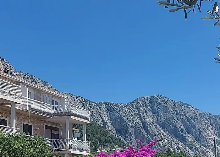 Lejlighed Oliva Garden