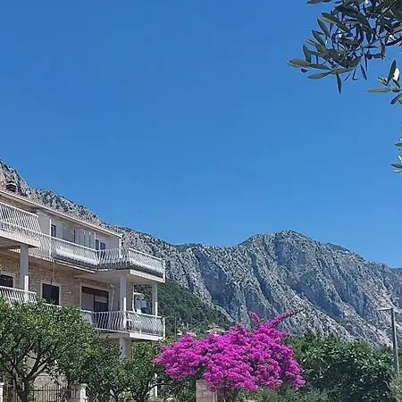 Daire Oliva Garden